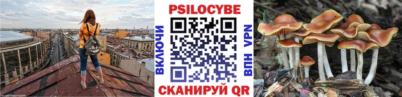 Псилоцибиновые грибы Psilocybe  Кисловодск 